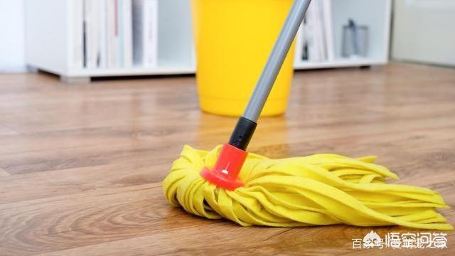 怎么清除狗尿味:怎么解决家中狗味、狗尿骚味的问题？