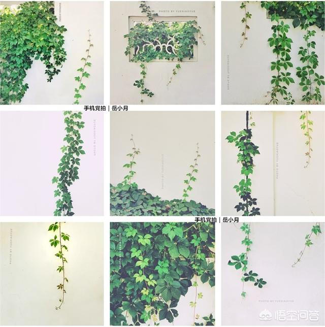 怎么从<a href=https://maguai.com/list/55-0-0.html target=_blank class=infotextkey>生活</a>中发现或者创造出小区域摄影美景你有技巧可分享吗