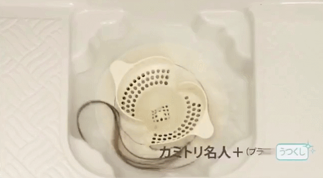 日本猫岛图片大全:日本截尾猫图片 日本“丧心病狂”的卫生间，是怎样一种神奇存在？