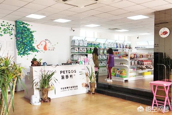 宠物店系统:第一次开宠物店没有经验，宠物店管理系统操作方便吗？