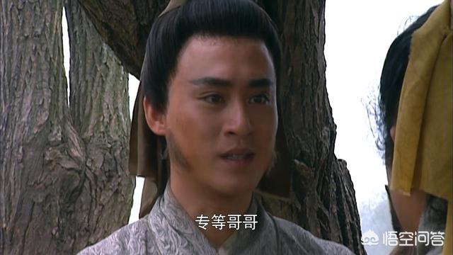 燕青结局:《水浒传》中，燕青对卢俊义说:“只在主人前后。”是什么意思？