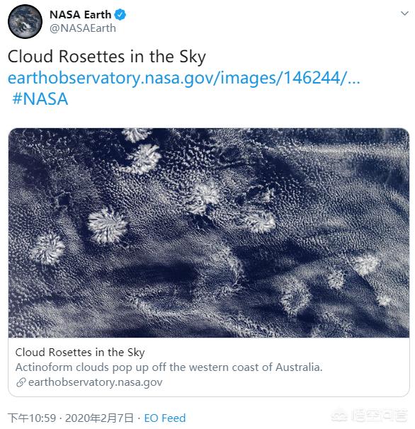 玫瑰螺究竟长啥样，NASA从太空发现的神秘“玫瑰云”长啥样？