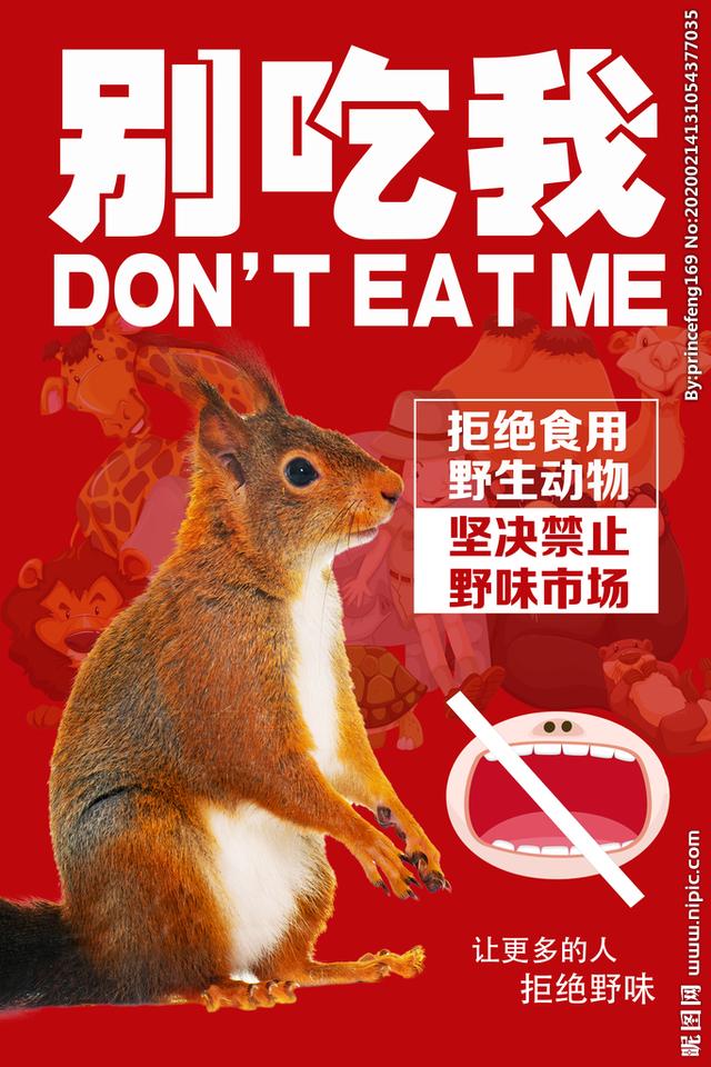 2020新型冠状病毒怎么引起的:是什么造成新型冠状病毒、非典等传染病的大流行？