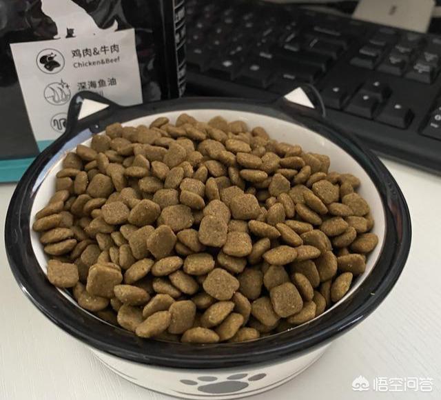 欧洲狗粮排行榜:英国斗牛犬吃什么狗粮好？