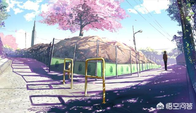 甜蜜猫猫01话:《猫和老鼠》动画还会更新吗？