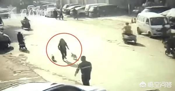 男子被牧羊犬袭击缝80多针:深圳一宠物狗咬伤七旬老人，女主人撒腿就跑，你怎么看？