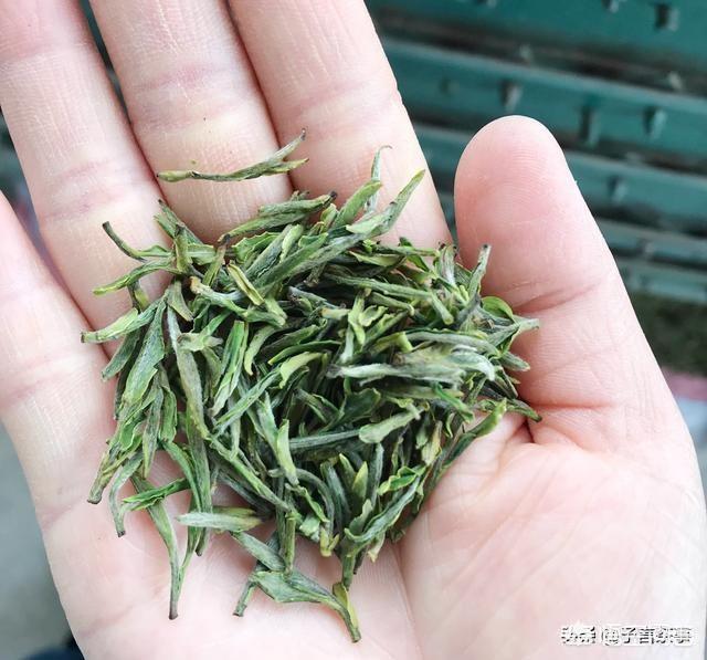 安徽是个出茶叶的地方，种类繁多，你心目中最好喝的茶是哪种？