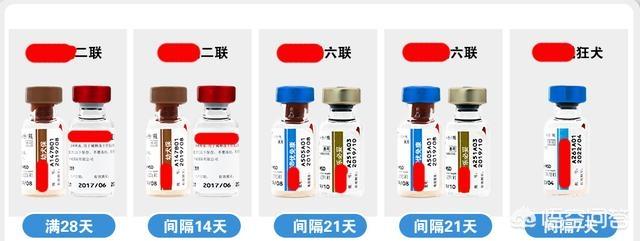 成年人打狂犬疫苗的副作用:小孩被狗咬，打一次疫苗后咬了大人，大人要打疫苗吗？ 打狂犬疫苗有副作用吗