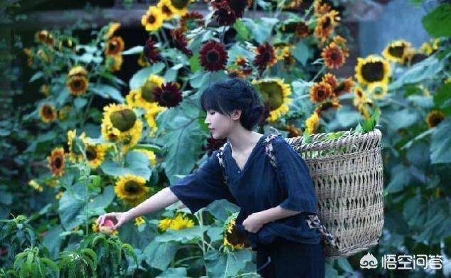 李子柒被入选“2019十大女性人物”之一,她凭的是啥？