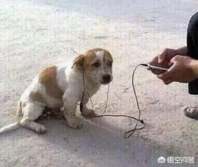 阳光的qq昵称:通过一个人的QQ可以了解到什么