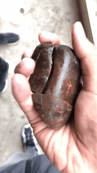 和田玉沙枣青籽料原石价格,“沙枣青”有什么特点？怎样收藏？