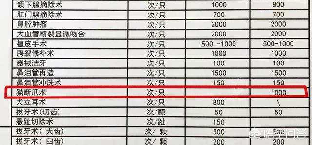 救助犬的最后遗言:如何看待养宠物却给它们绝育，断尾，裁耳，割声带，去爪的人？