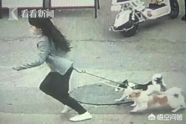 男子被牧羊犬袭击缝80多针:深圳一宠物狗咬伤七旬老人，女主人撒腿就跑，你怎么看？