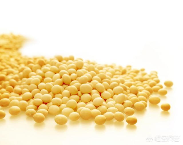 含胶原蛋白的食物,吃什么能够补充胶原蛋白？