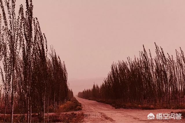 电影紫色:怎样才能化出蕾雅赛杜007电影的魅惑紫色仿妆？