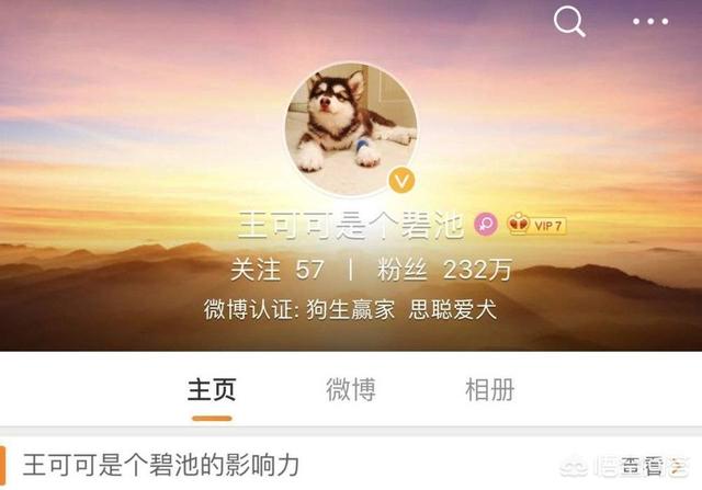 优爵宠物食品如何加盟:开一家宠物连锁店怎么样？