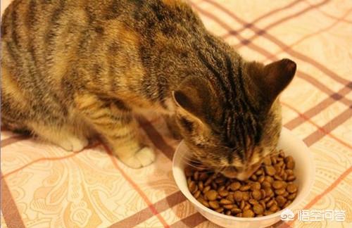 go猫粮问题批次:几块钱一斤的猫粮对猫咪有什么损害？