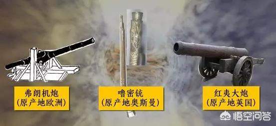 蓝尾金蜥做药材:为什么有些城里人喜欢到农村采挖野菜呢？