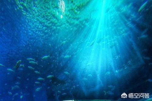 10000米恐怖深海鱼图片，你觉得深海10000米是什么概念