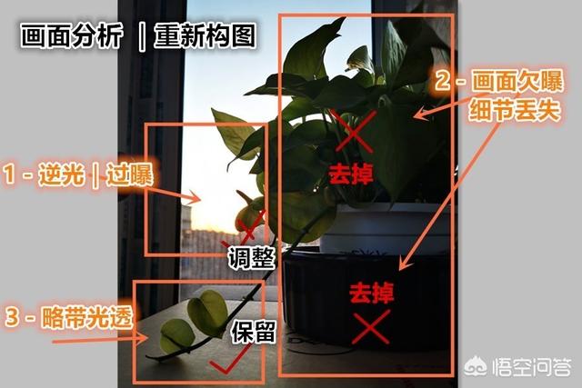 怎么从<a href=https://maguai.com/list/55-0-0.html target=_blank class=infotextkey>生活</a>中发现或者创造出小区域摄影美景你有技巧可分享吗