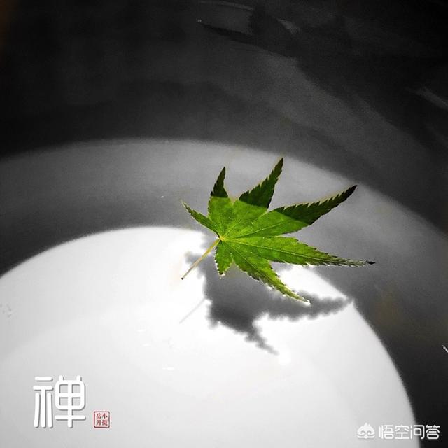怎么从<a href=https://maguai.com/list/55-0-0.html target=_blank class=infotextkey>生活</a>中发现或者创造出小区域摄影美景你有技巧可分享吗
