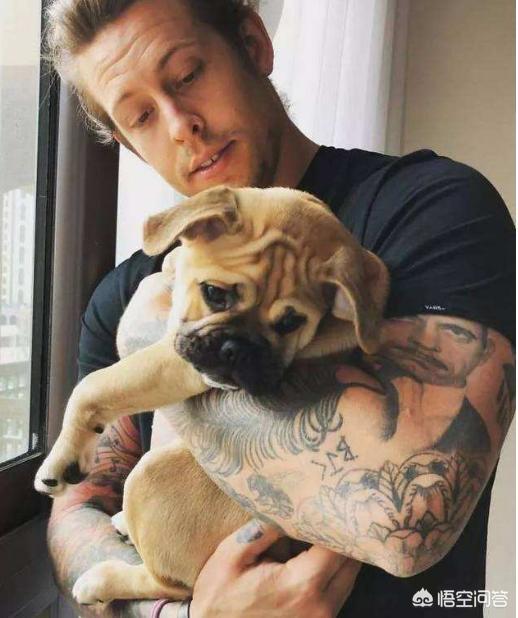 巴哥犬好养吗:巴哥犬适合在家里饲养吗？有什么比较麻烦的地方？