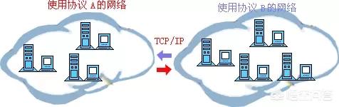 计算机网络包括什么？