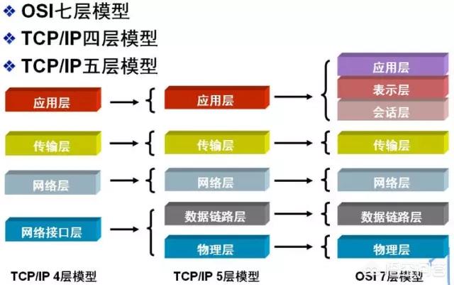 计算机网络包括什么？