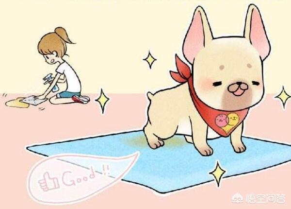 怎么清除狗尿味:养狗，如何做到家里没有尿骚味呢？