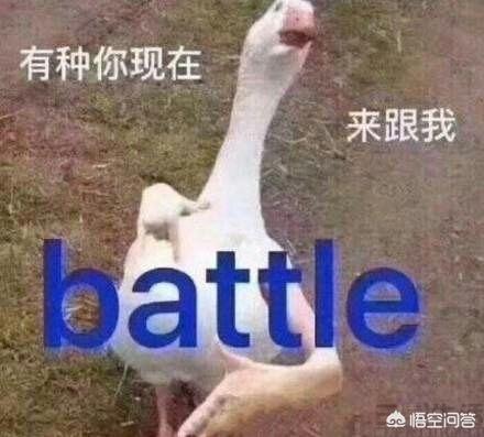 微信聊天表情互动:有些人微信聊天很喜欢发表情包，这代表什么？