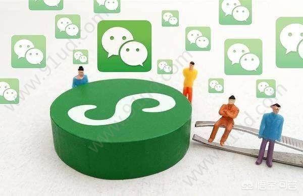 微信小程序毕设:大学毕业时，你怎样做毕业设计的？