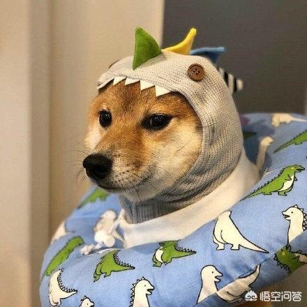 求文啊~娱乐圈耽美爽！甜？