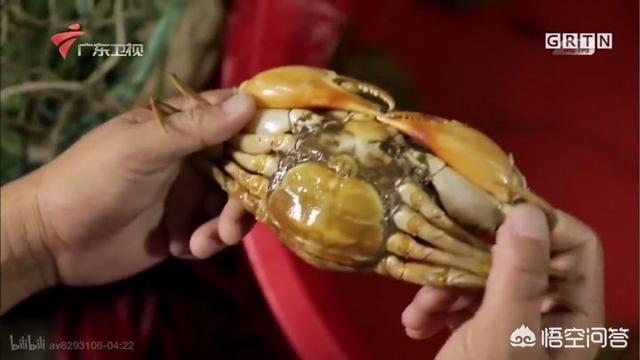 有哪些中国产的顶级食物？