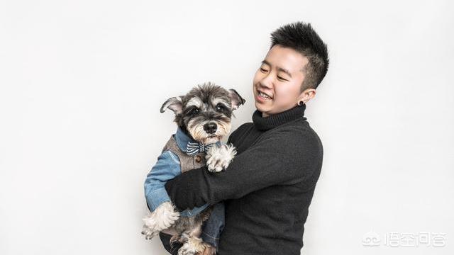 女孩与雪纳瑞卡通图片:为什么有的雪纳瑞不让主人抱？是不喜欢主人吗？