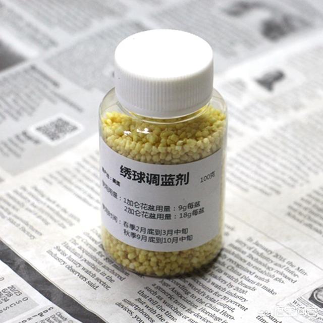 供应八仙花:东陵八仙花 绣球花能调色吗，盆栽养护时，该注意些什么？