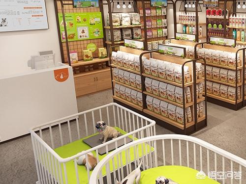 个人加盟宠物店加盟条件:开个品牌宠物店需要多少钱呢？