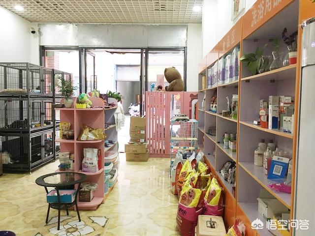 宠物店管理软件下载:如何管理好宠物店顾客的信息？