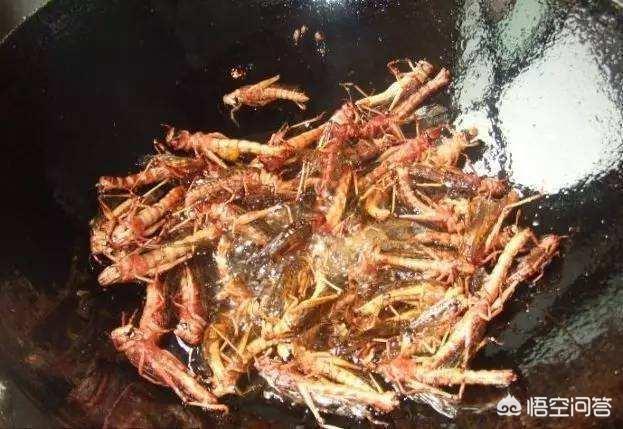 印度紧急修法:印度急购俄制战机是否有用