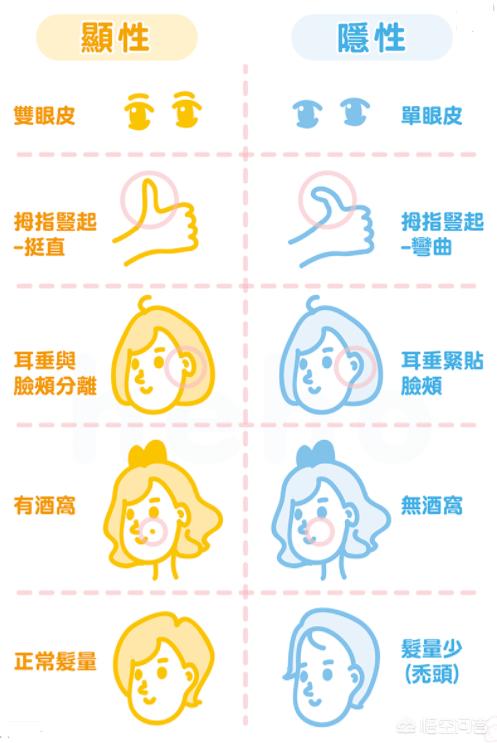 非常进化:生物自然进化速度有没有可能越来越快？为什么？