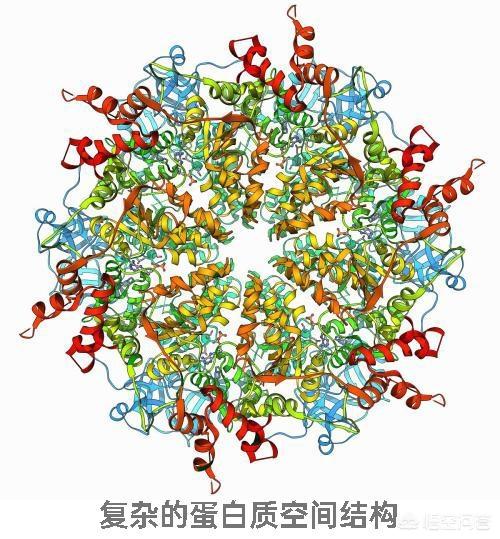巴氏小体失活的意义是什么:食物加热消毒杀菌后，死了的细菌变成了什么？