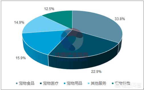 宠物产业研究报告:重庆周边城市的宠物行业发展情况如何，有哪些可以提升的渠道？