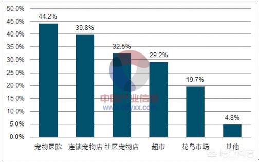 宠物产业研究报告:重庆周边城市的宠物行业发展情况如何，有哪些可以提升的渠道？