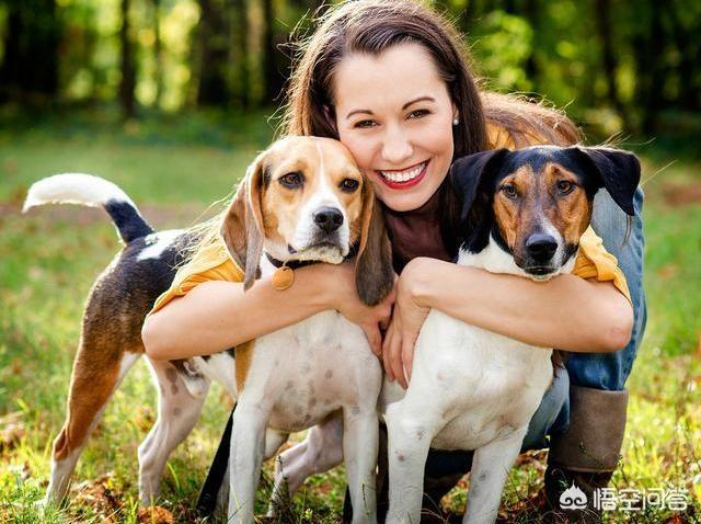 我做女犬的开心日子无弹窗:把狗狗养得很好的女生，你觉得她们有着怎么样的美好品质？