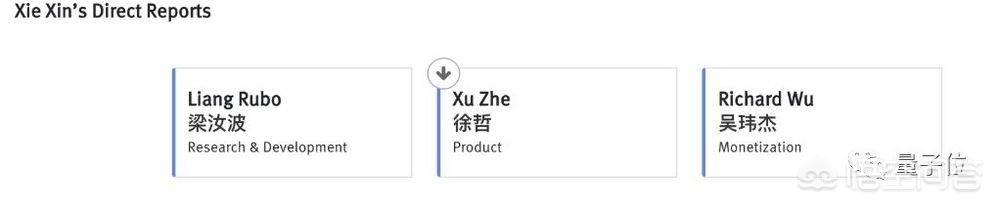 今日头条家族的架构是什么样的？