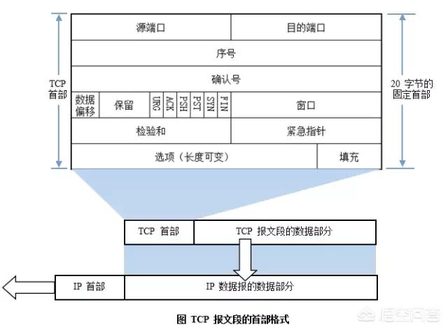 计算机网络包括什么？