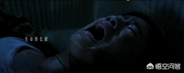 痕迹结局什么意思:《误杀》结局男主是不是同样被闷死了啊