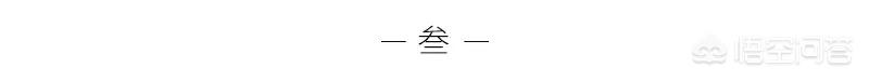 袁崇焕墓守墓人逝世:袁崇焕是怎么被“洗白”的？究竟是民族英雄还是国贼？