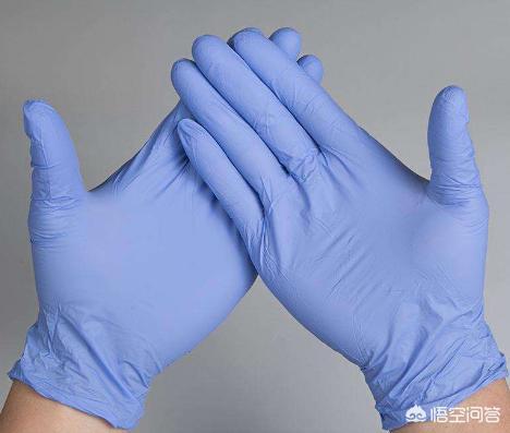 挤肛门腺了:柯基犬多久挤一次肛门腺？怎么挤？