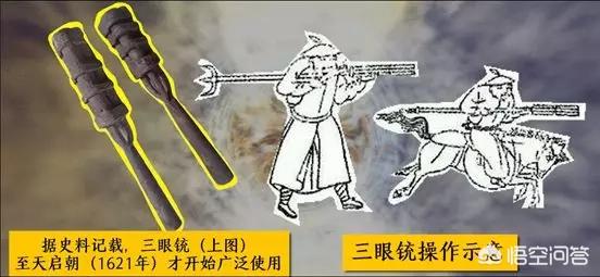 蓝尾金蜥做药材:为什么有些城里人喜欢到农村采挖野菜呢？