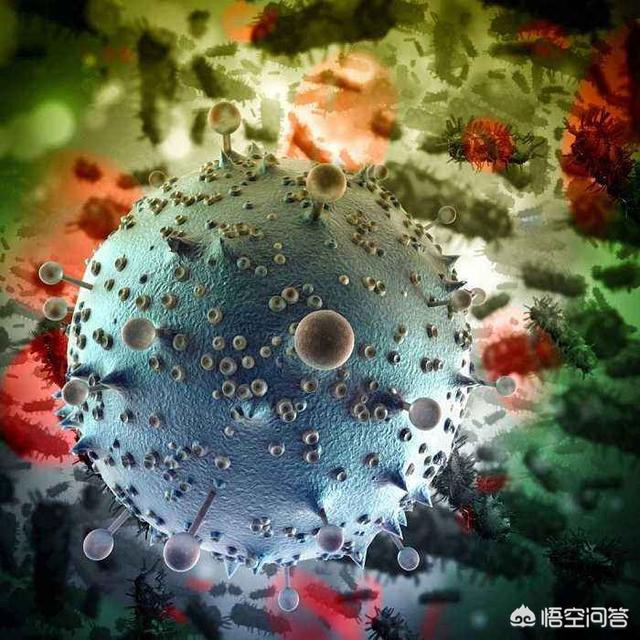 超级病毒种类有哪些:怎么看，越南爆发超级病毒，一次传染5到6人？